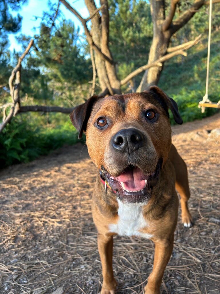 Imagen de WhatsApp 2024-06-18 a las 18.50.09_cf3c38b1