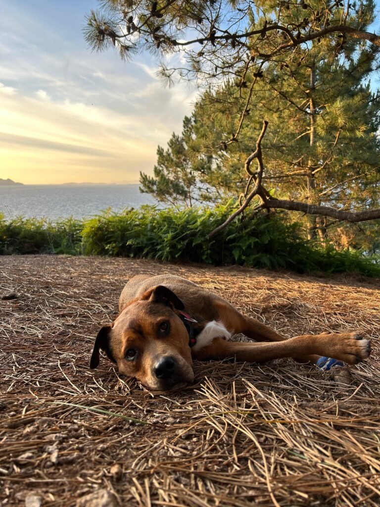 Imagen de WhatsApp 2024-06-18 a las 18.51.37_d1407636