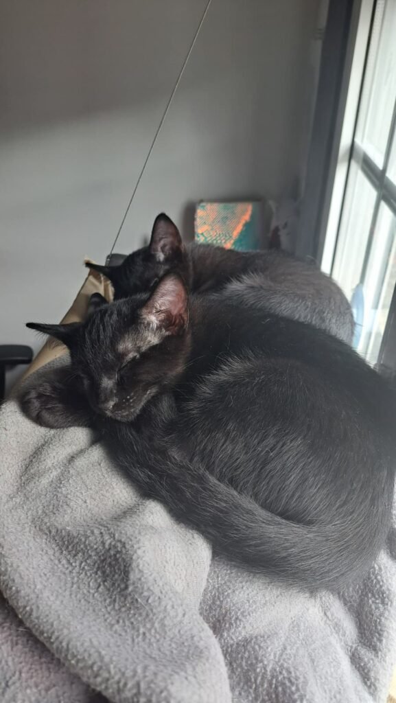 PHOTO-2025-11-26-12-06-48