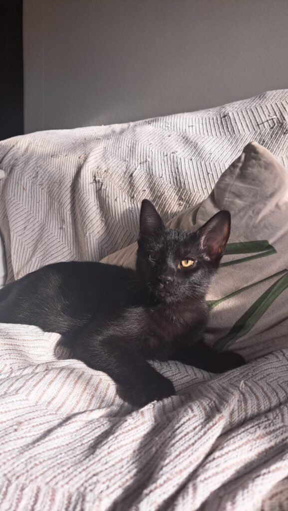 PHOTO-2025-11-26-12-06-48(2)