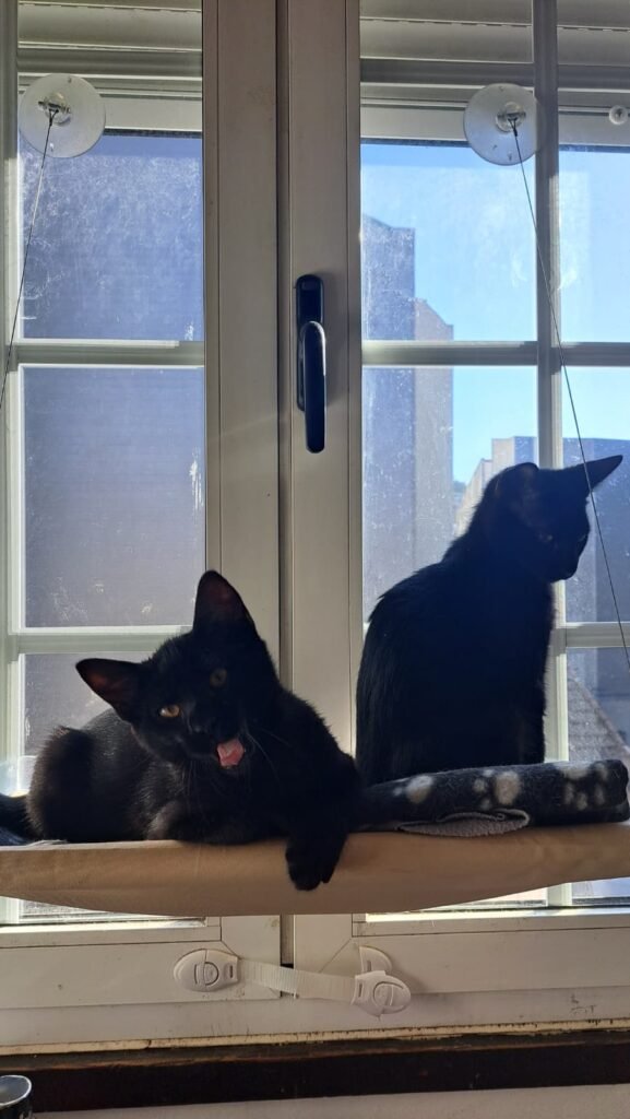 PHOTO-2025-12-10-17-13-50