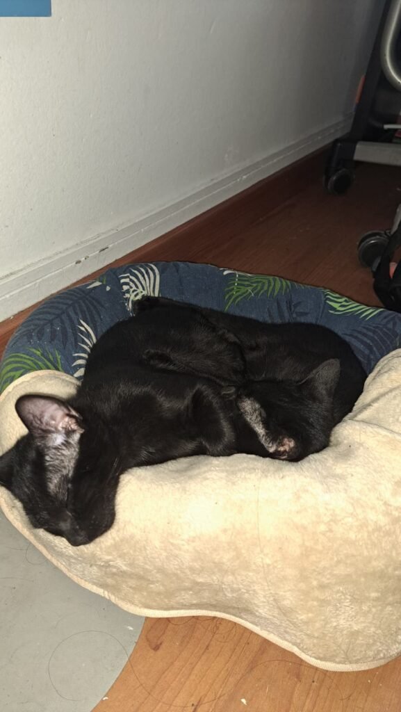 PHOTO-2025-12-10-17-13-52