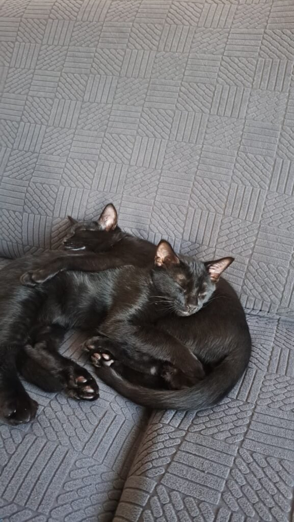 PHOTO-2025-12-28-17-39-56