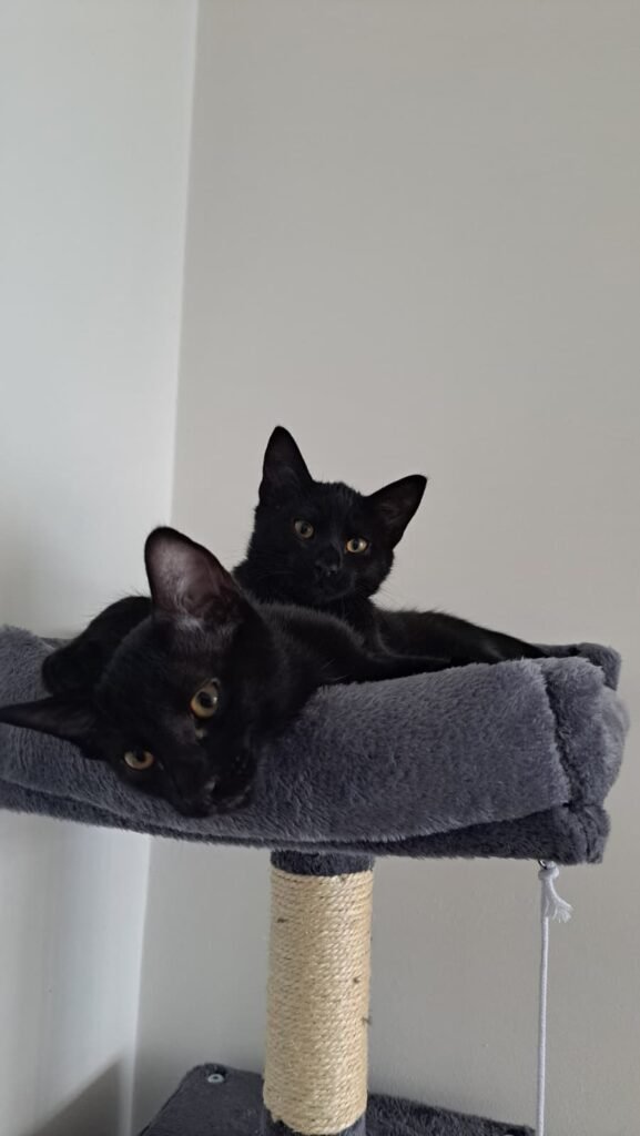 PHOTO-2025-12-28-17-39-56(1)