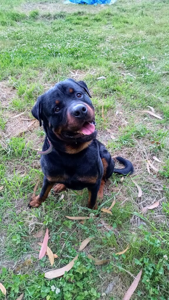 uploads_2F94834809-ad59-4868-938a-07eb06d60647_2FIMG_20230705_204141329_HDR