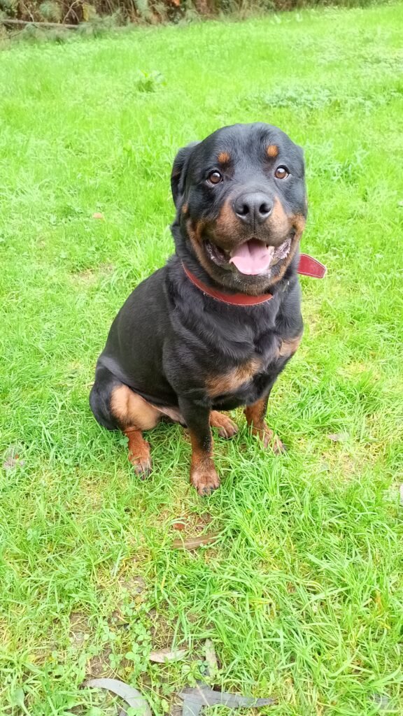 uploads_2F94834809-ad59-4868-938a-07eb06d60647_2FIMG_20240103_130232596