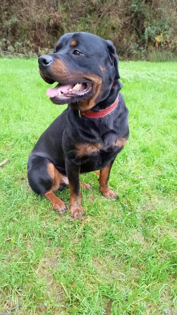 uploads_2F94834809-ad59-4868-938a-07eb06d60647_2FIMG_20240103_130847411